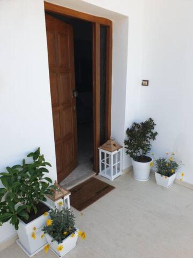 Palaikastro Holiday Apartment Sitia  Zewnętrze zdjęcie