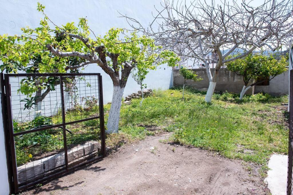 Palaikastro Holiday Apartment Sitia  Zewnętrze zdjęcie